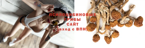 индика Армянск