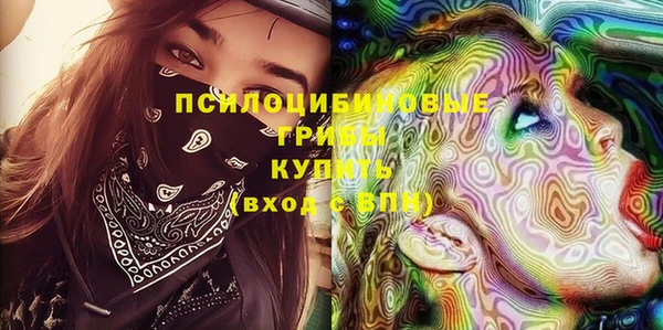 амф Аркадак